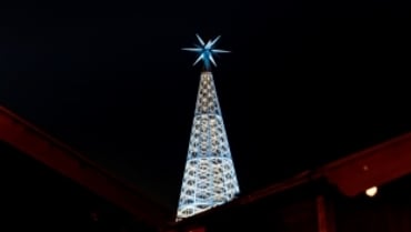 Swarovski Christaltree